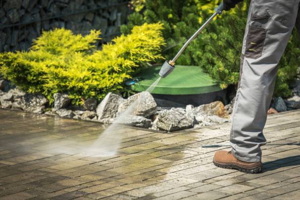 Best Animal Enclosure Cleaning  in Holbrook, NY