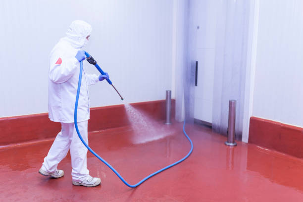 Best Driveway Pressure Washing  in Holbrook, NY