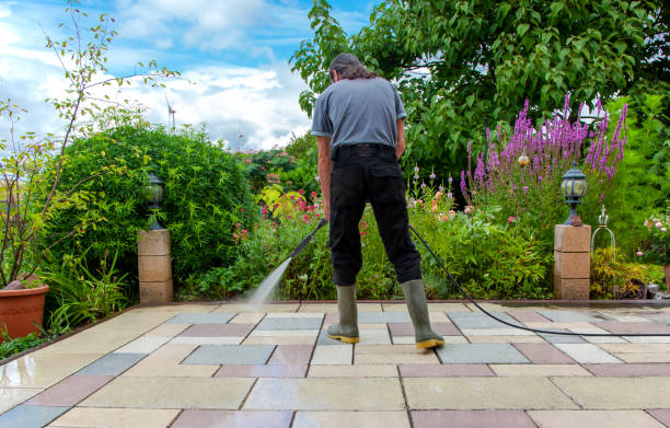 Best Spring Cleaning  in Holbrook, NY